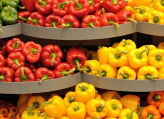 Sagra del peperone di Carmagnola 1072 0 peperone carmagnola_ok